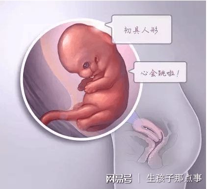 遗传咨询专家